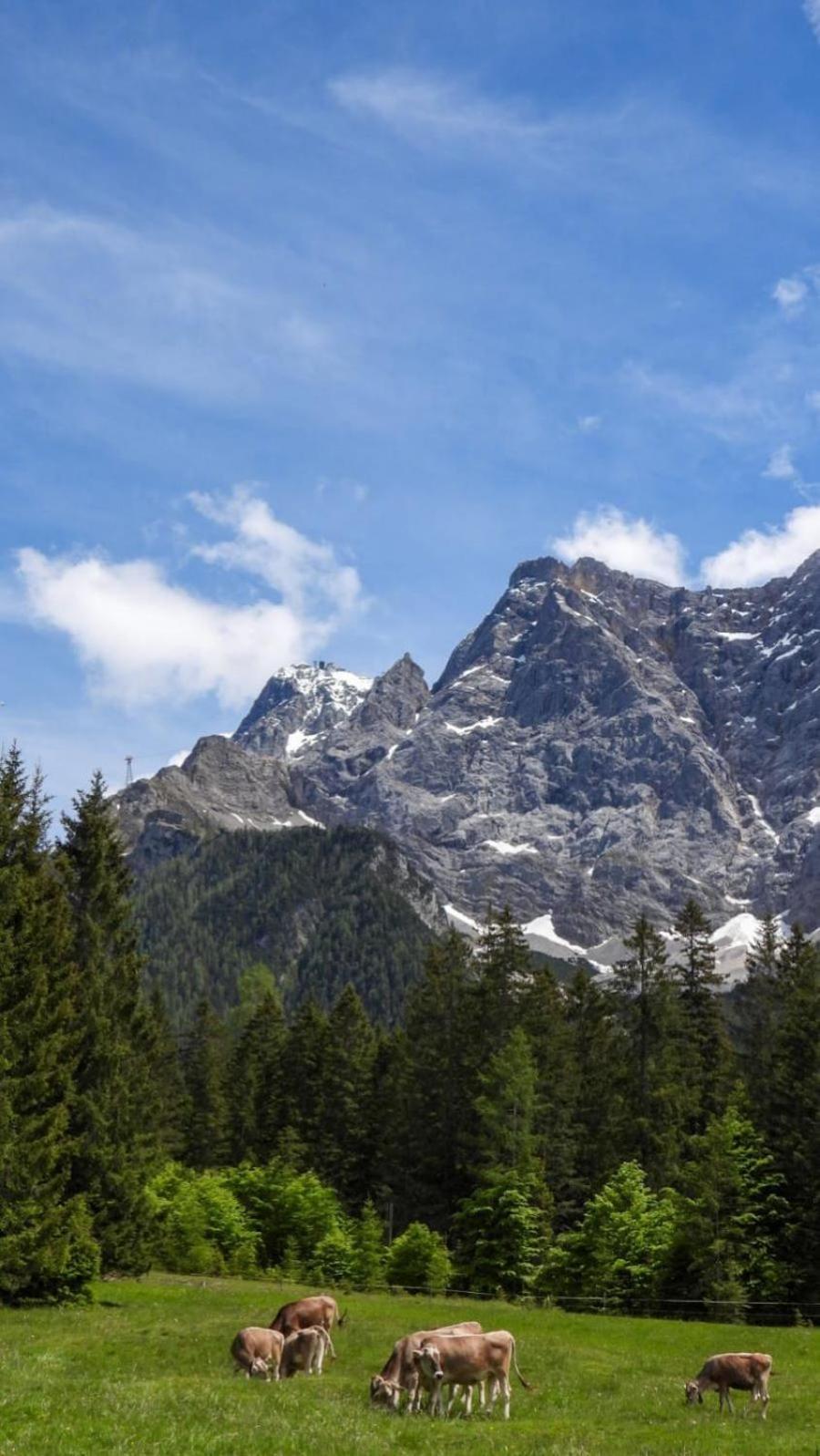Haus An Der Sonne Fewo 2 Biberwier Luaran gambar
